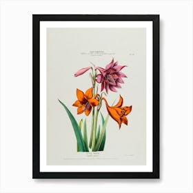 Lily Of The Valley 11 Art Print