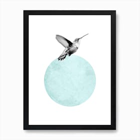 Fly High Art Print