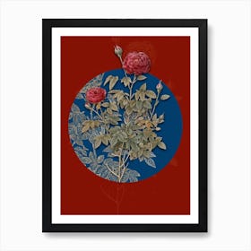 Vintage Botanical Burgundy Cabbage Rose on Circle Blue on Red n.0278 Art Print