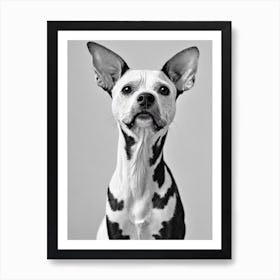 American Hairless Terrier B&W Pencil Dog Art Print