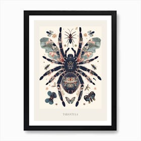 Colourful Insect Illustration Tarantula 11 Poster Art Print