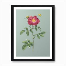 Vintage Stapelia Rose Bloom Botanical Art on Mint Green n.0522 Art Print