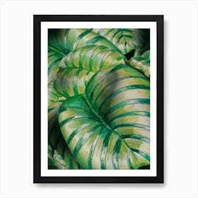 Art On Sheet Art Print