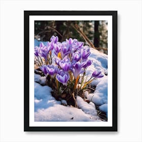 Beautiful Winter Flowers 44 Art Print