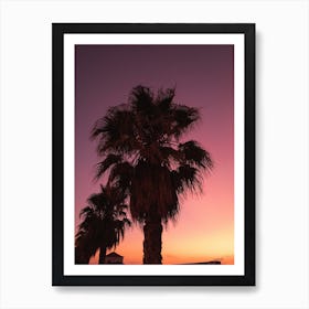 Palms At Dawn Art Print