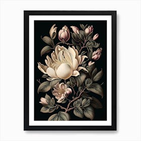 Magnolia 3 Floral Botanical Vintage Poster Flower Art Print