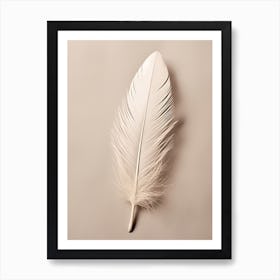 White Feather 4 Art Print