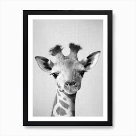 Baby Giraffe - Black & White Art Print