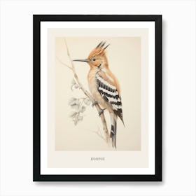 Vintage Bird Drawing Hoopoe 2 Poster Art Print