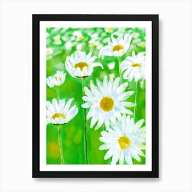 Daisy White Flower Summer Garden Painting Art Print