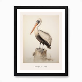 Vintage Bird Drawing Brown Pelican 1 Poster Art Print