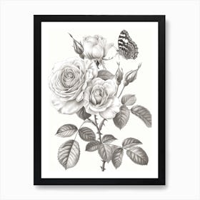 Rose With Butterfly Line Drawing 1 Art Print