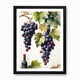 Vines,Black Grapes And Wine Bottles Painting (24) Art Print