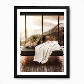 Lion Taking A Nap Chill Art Print