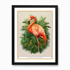 Greater Flamingo Rio Lagartos Yucatan Mexico Tropical Illustration 6 Poster Art Print