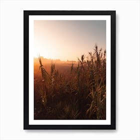 Grass In The Morning Art Print