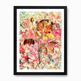 Impressionist French Rose Botanical Painting in Blush Pink and Gold n.0019 Art Print
