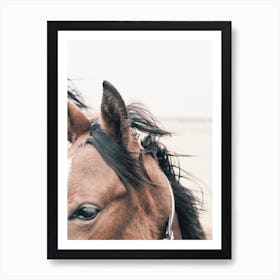 Horse Ears In Wind Art Print