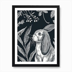 Mini Lop Rabbit Minimalist Illustration 1 Art Print