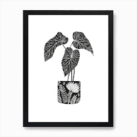 Folk Begonia Art Print