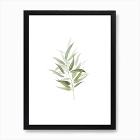 Watercolor Botanical Art 01 Art Print