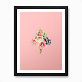 Vintage Gloxinia Flower Botanical on Soft Pink n.0598 Art Print