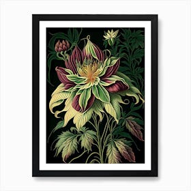 Dahlia Imperialis 2 Floral Botanical Vintage Poster Flower Art Print