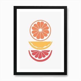 Orange Slices 5 Art Print