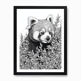 Red Panda Hiding In Bushes Ink Illustration 3 Art Print