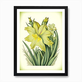 Daffodil Wildflower Vintage Botanical Art Print