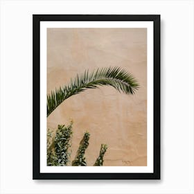 Palm Tree against A beige Wall in Fes, Morocco | Colorful travel photography Art Print