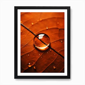 Water Drop On A Leaf Art Print