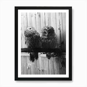 Two Owls Art Print