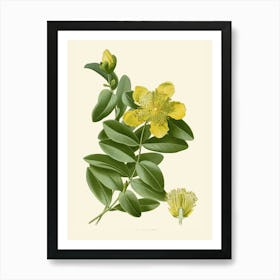 Yellow Flower 2 Art Print