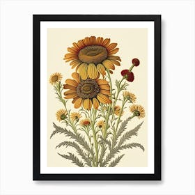 Helenium Wildflower Vintage Botanical 1 Art Print