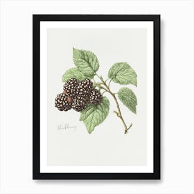 English Hedgerow Blackberry - Textured Botanical Wall Print Set | Floral Collection Art Print Art Print