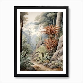 Vintage Jungle Botanical Illustration Cordyline 2 Art Print
