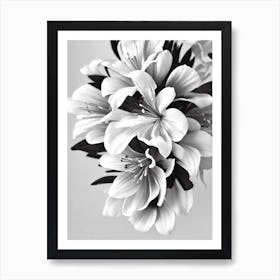 Alstromeria B&W Pencil 3 Flower Art Print