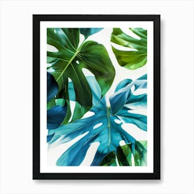 Tropical Leaves On White Background Affiche