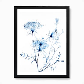 Queen Anne's Lace 2 Art Print