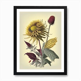 Elecampane Spices And Herbs Retro Drawing 3 Art Print