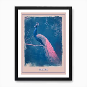 Blue & Pink Peacock On A Tree 1 Poster Art Print