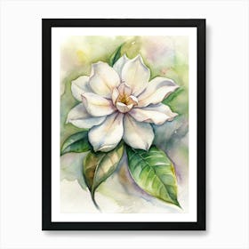 Magnolia 4 Art Print