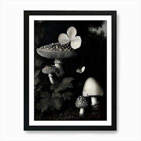 Dark Gothic Mushrooms And Butterflies Poster