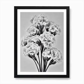 Carnations B&W Pencil 8 Flower Art Print