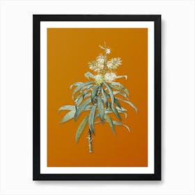 Vintage Pleomele Botanical on Sunset Orange n.0696 Art Print