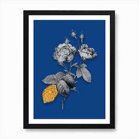 Vintage Anemone Centuries Rose Black and White Gold Leaf Floral Art on Midnight Blue n.0993 Art Print