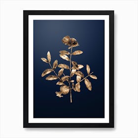 Gold Botanical Pomegranate Branch on Midnight Navy n.4096 Art Print