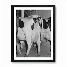 Cows Of Member Of The Dairymen S Cooperative Creamery,Caldwell, Canyon County, Idaho By Russell Lee Art Print