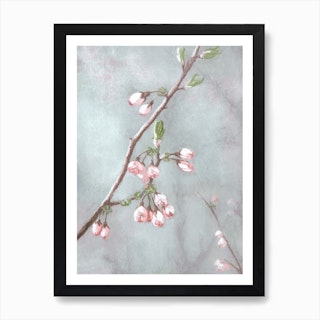 Blossom, Aga Szafranska Art Print